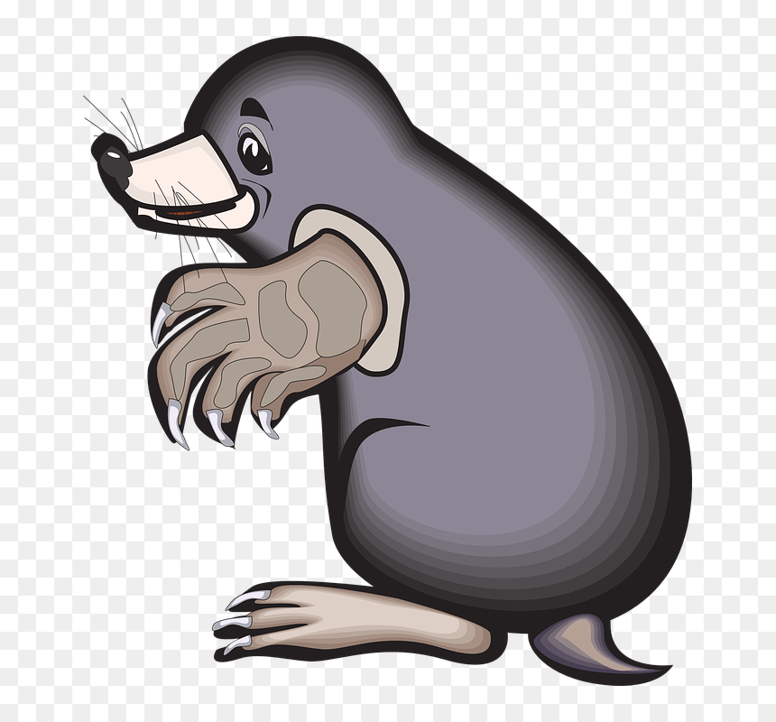 Mole Animal Clip Art, HD Png Download - claws png