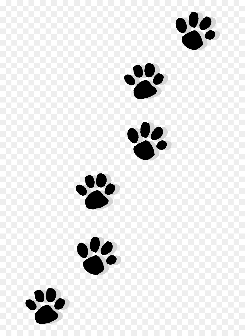 Cat Puppy Dachshund Paw Printing - Paws And Claws Png, Transparent Png - claws png