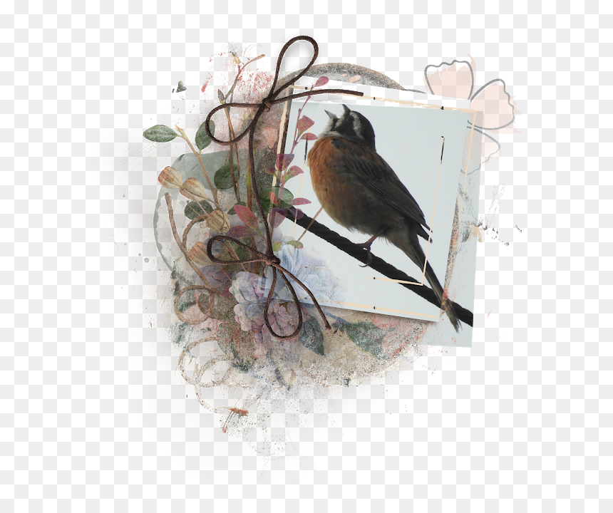 My Husband Woke Me Up Hearing This Meadow Bunting Singing - House Sparrow, HD Png Download - up house png