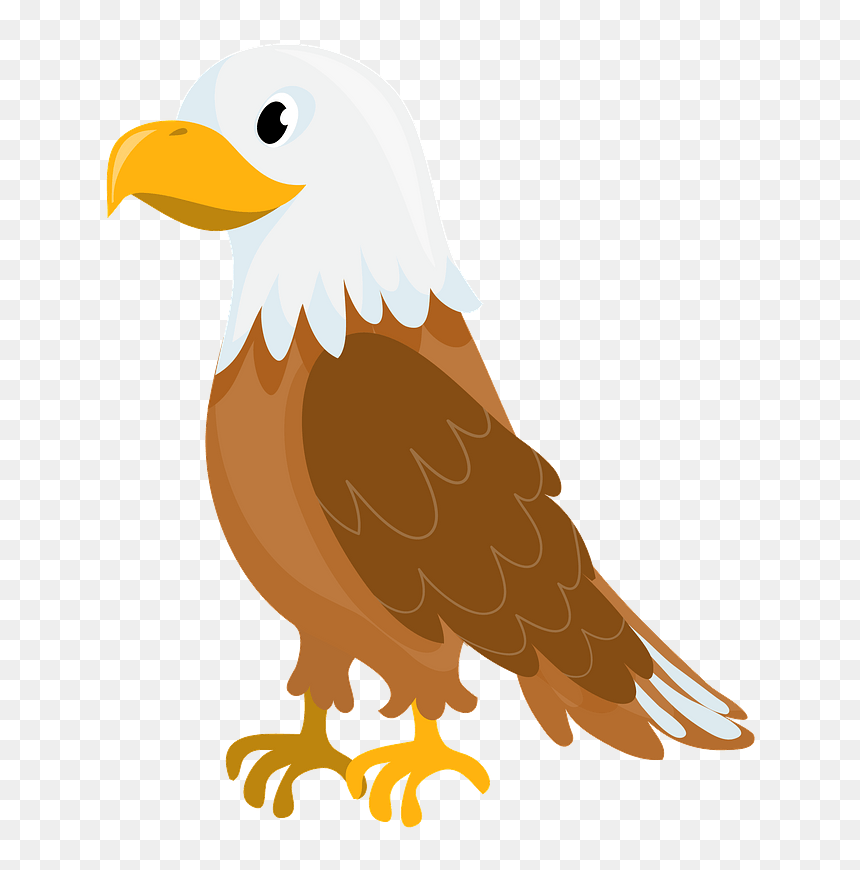 Bald Eagle Clipart - Eagle Clipart, HD Png Download - aguila png