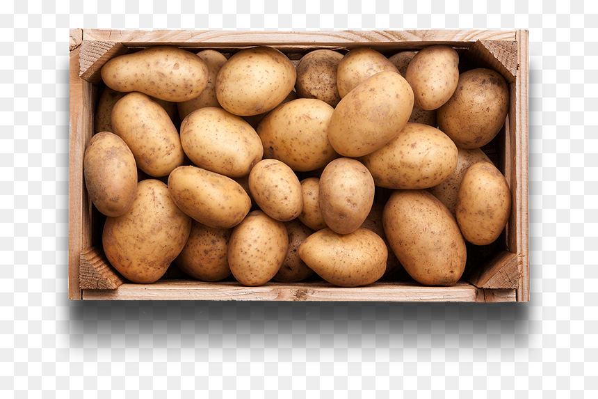 How To Prepare Potatoes - Russet Burbank Potato, HD Png Download - potatoes png