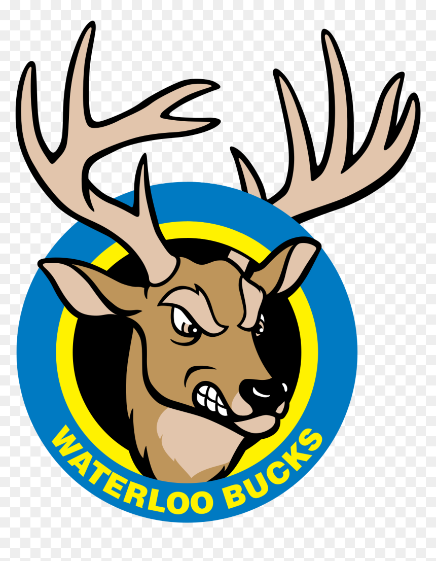 Waterloo Bucks Baseball Logo, HD Png Download - bucks logo png
