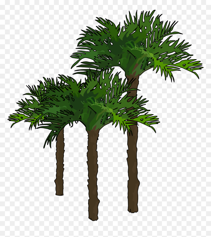 Palmeras Con Animales Png , Png Download - Portable Network Graphics, Transparent Png - palmeras png