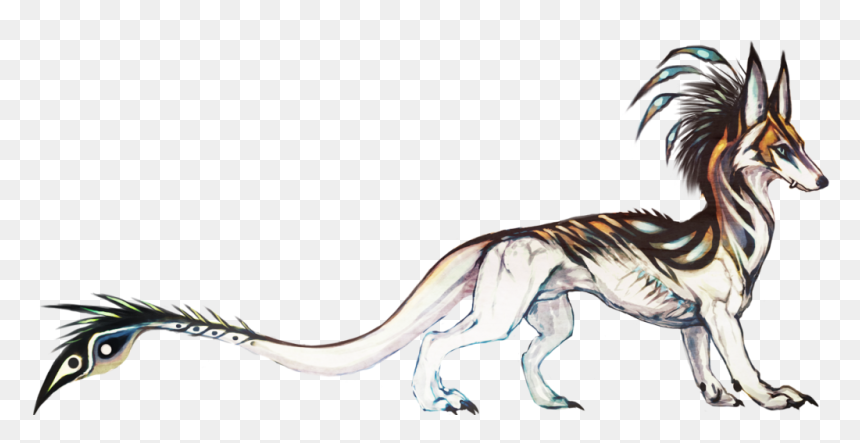 If You Have Any Questions About Him Feel Free To Ask - Wolf Dragon Drawings, HD Png Download - any questions png