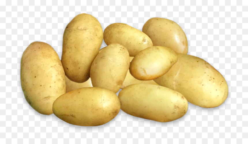 Potatos - Patata Transparent, HD Png Download - potatoes png