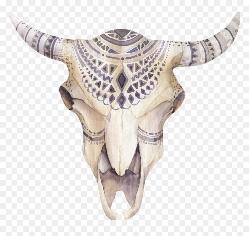 Boho Animal Skull Png - Bo Ho Cow Skull, Transparent Png - cow skull png
