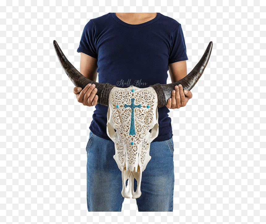 Carved Cow Skull // Xl Horns - Cattle, HD Png Download - cow skull png