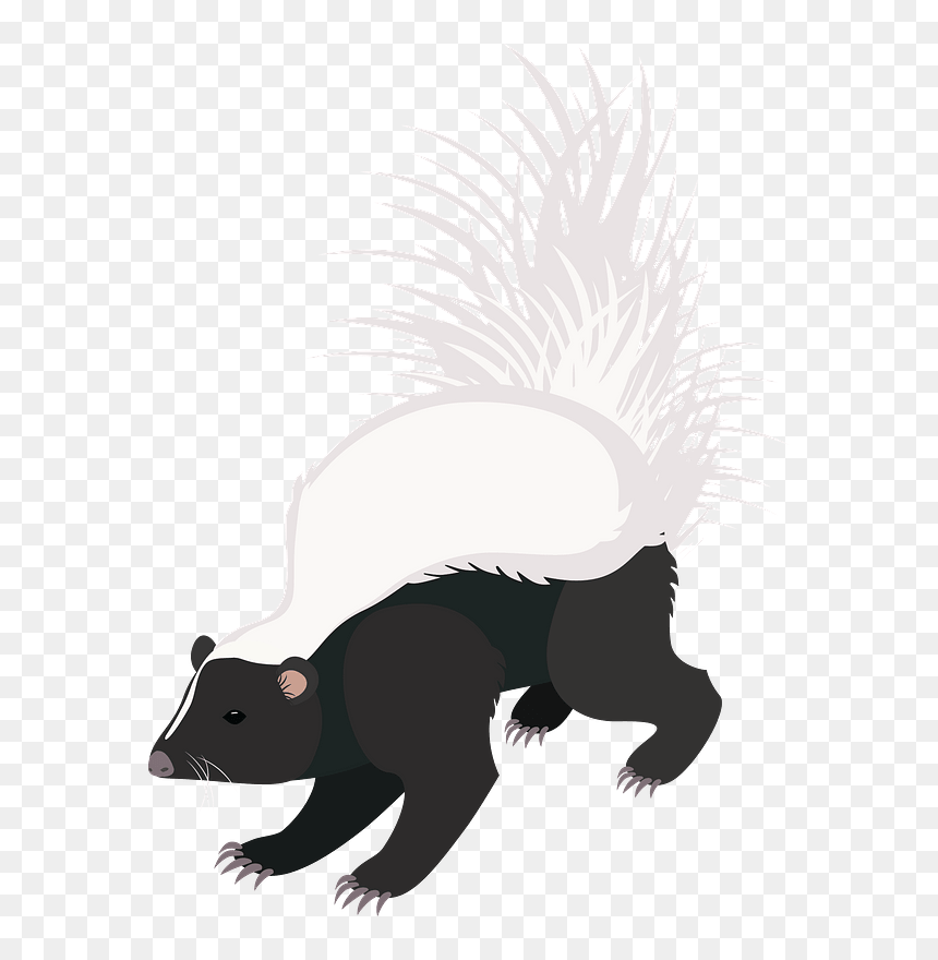 Hooded Skunk Clipart - Illustration, HD Png Download - hooded figure png