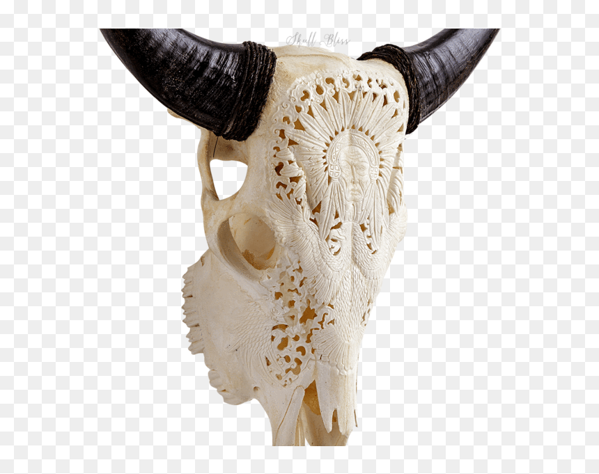 Carved Cow Skull // Xl Horns - Skull, HD Png Download - cow skull png