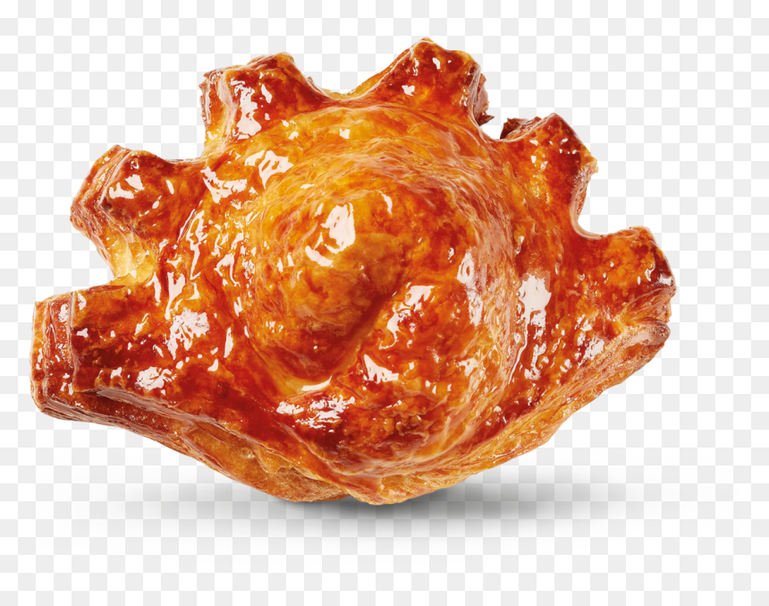 Conch, HD Png Download - bear paw png
