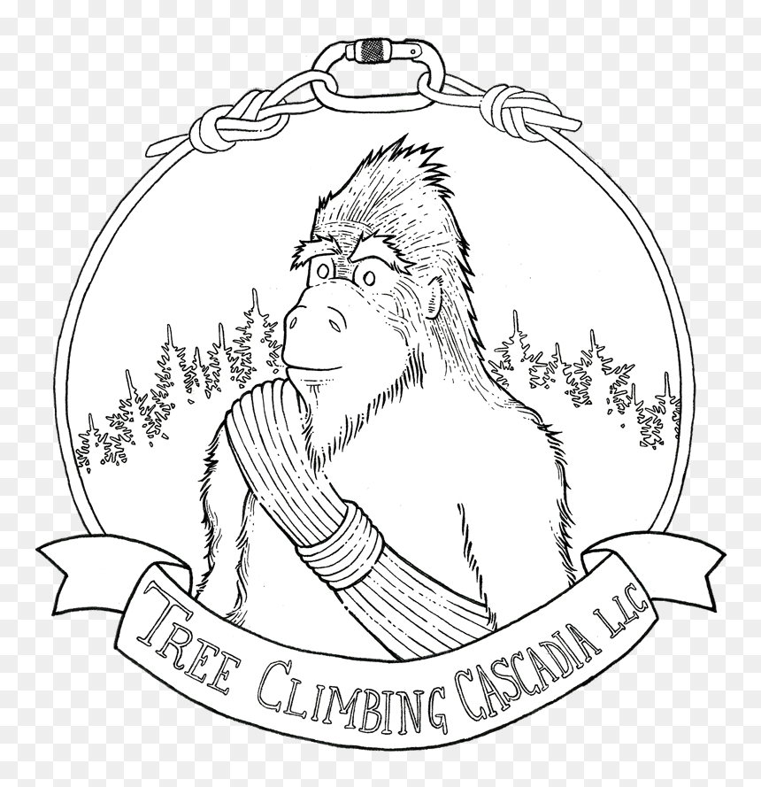 Sasquatch Is A Derivative Of The Word Sásq"ets, From - Cartoon, HD Png Download - sasquatch png