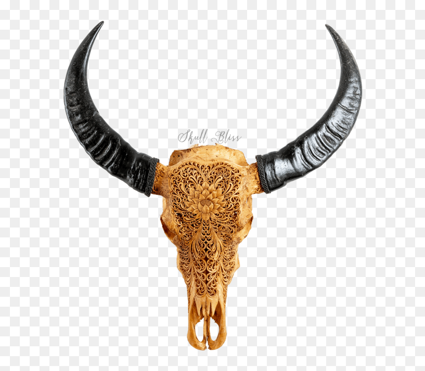 Carved Buffalo Skull - Bull, HD Png Download - cow skull png