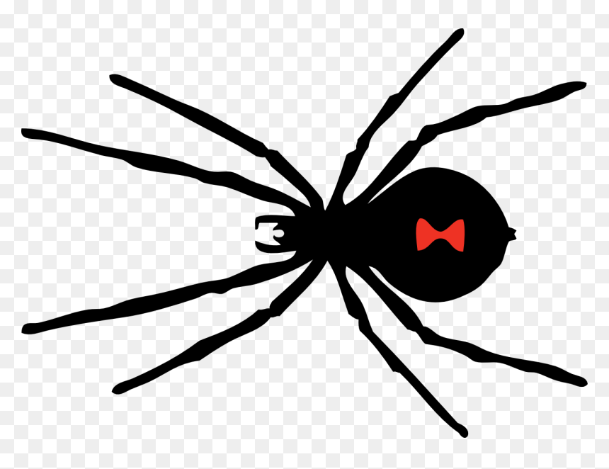 Clipart Of Spider, Spider To And Spider In - Black Widow Spider Png, Transparent Png - spiders png