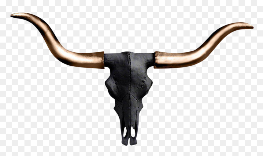 Longhorn Skull Clipart , Png Download - Portable Network Graphics, Transparent Png - cow skull png