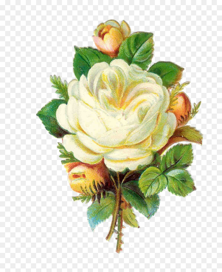White Rose Png Images Pictures - Vintage White Flowers Png, Transparent Png - yellow rose png