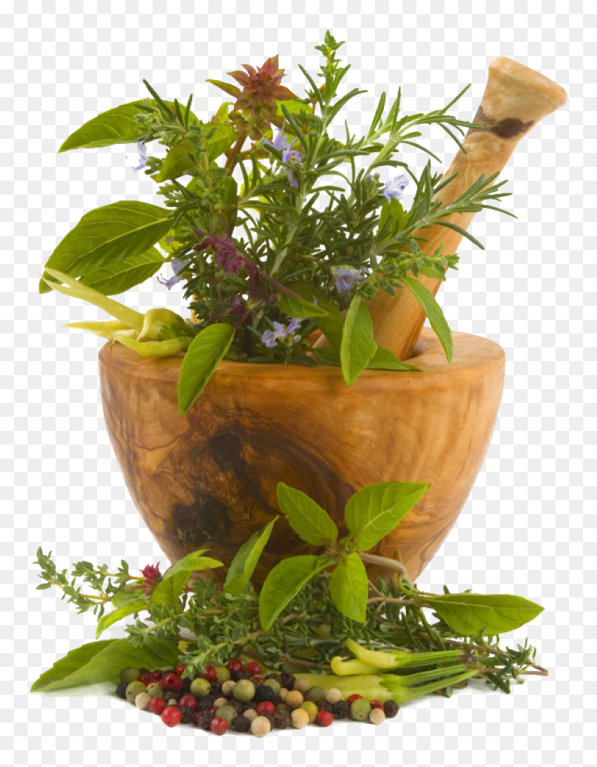 Chinese Herbs Png Image - Food Herbs Png, Transparent Png - herbs png