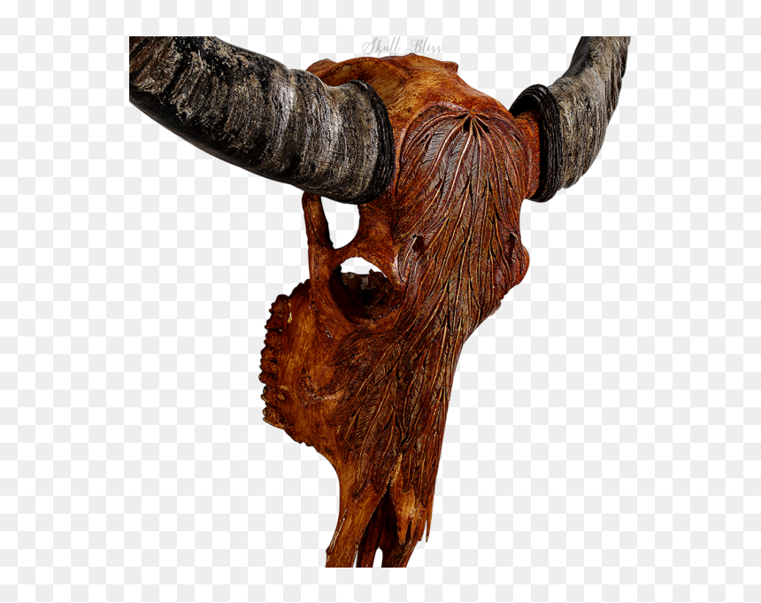 Animal Skulls Cattle Horn - Skull, HD Png Download - cow skull png