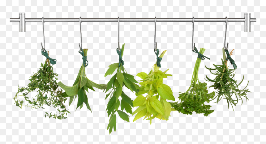 Herb Png Pic - Transparent Background Herbs Clipart, Png Download - herbs png