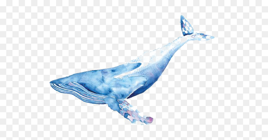 Thumb Image - Whale Drawing Png, Transparent Png - blue whale png