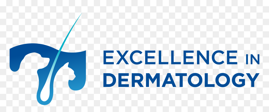 Merck Logo Zoetis Logo - Dermatologia, HD Png Download - merck logo png