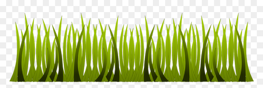 Grass, HD Png Download - herbs png