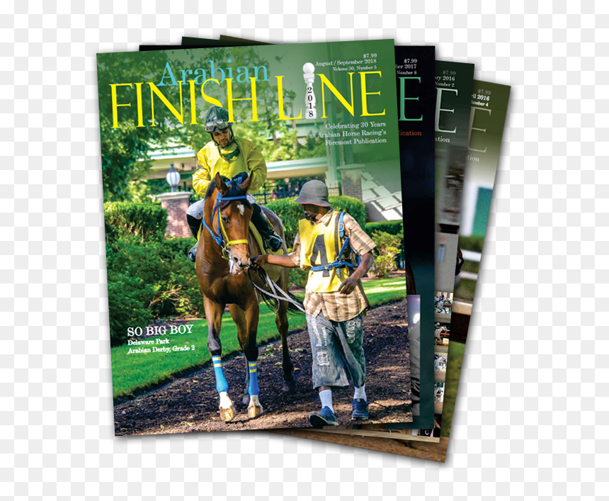 Arabian Finish Line , Png Download - Stallion, Transparent Png - finish line png
