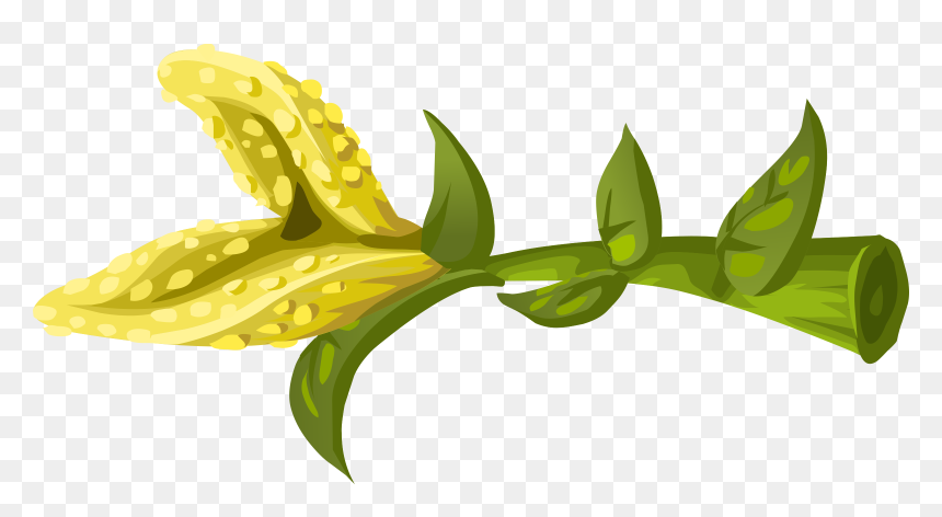 Herbs Yellow Crumb Flower Clip Arts - Clip Art, HD Png Download - herbs png
