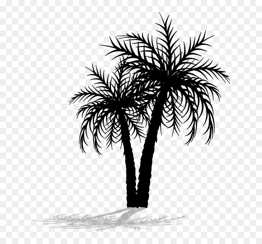 Palm Tree Png File, Transparent Png - palmeras png