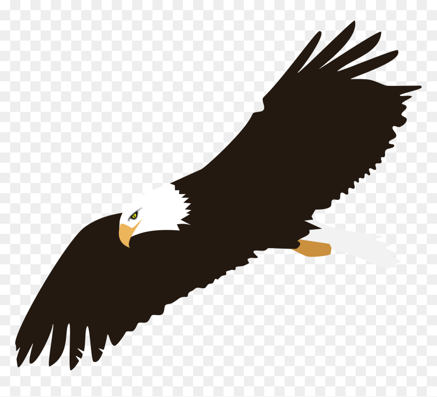 Free Eagle With Transparent Background, Download Free - Eagle Clip Art Png, Png Download - eagle vector png