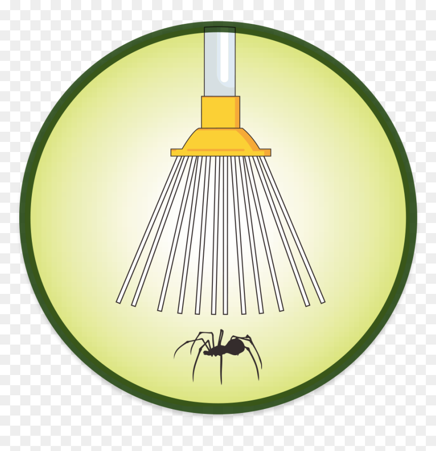 Circle, HD Png Download - spiders png