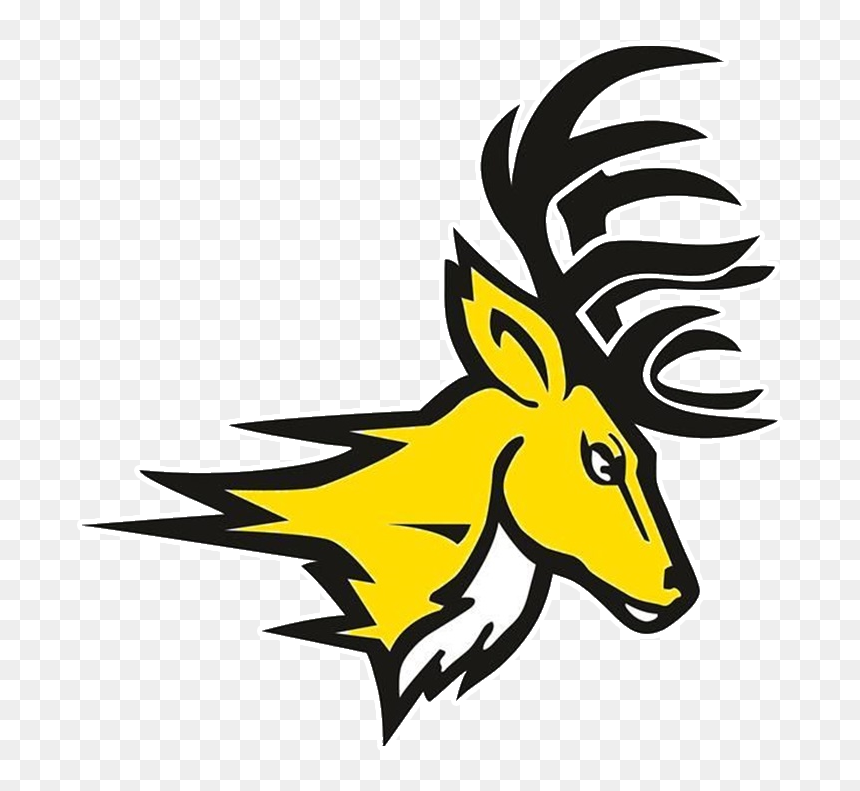 School Logo Image - Fairfield Stags, HD Png Download - bucks logo png
