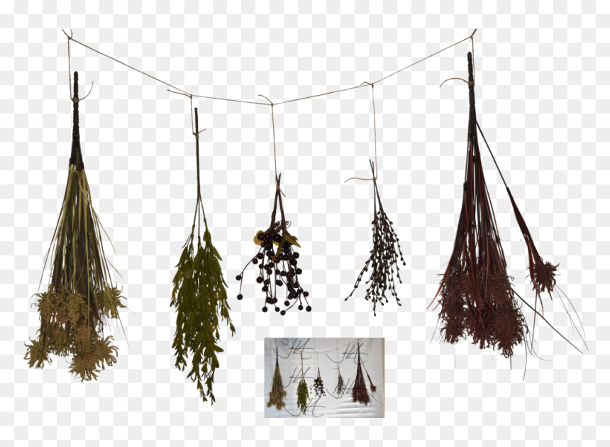 Dried Herbs 3d Model Free , Png Download - Dried Herbs Png, Transparent Png - herbs png
