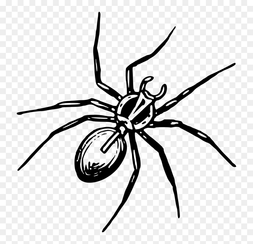 Tangleweb Spider,araneus,arthropod - Clip Art Spinne, HD Png Download - spiders png