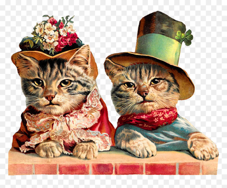 Cats Animal Image Humorous Victorian Image Clipart - Victorian Cat Clipart, HD Png Download - cat .png