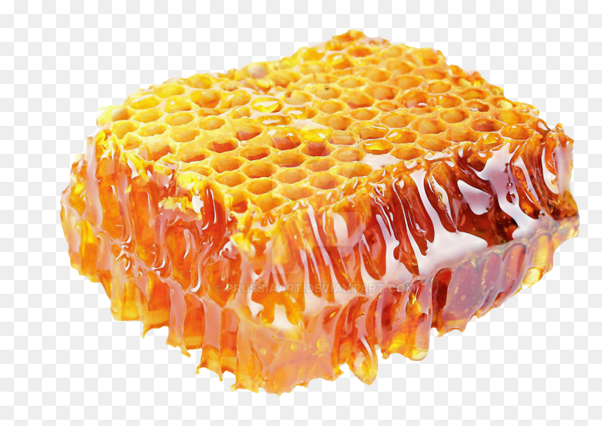 Honey Png - Transparent Honey Background, Png Download - honey comb png