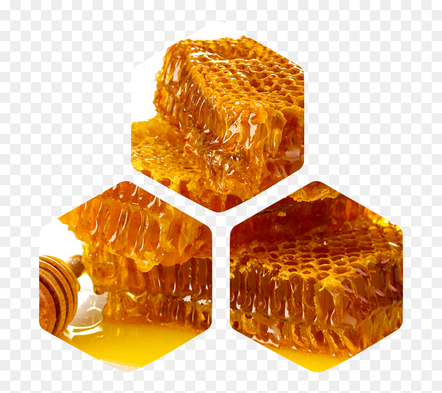 Honey Comb Png, Transparent Png - honey comb png
