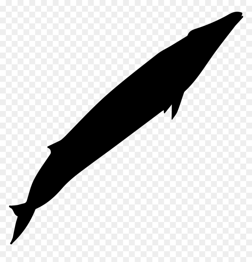 Blue Whale Shape - Illustration, HD Png Download - blue whale png