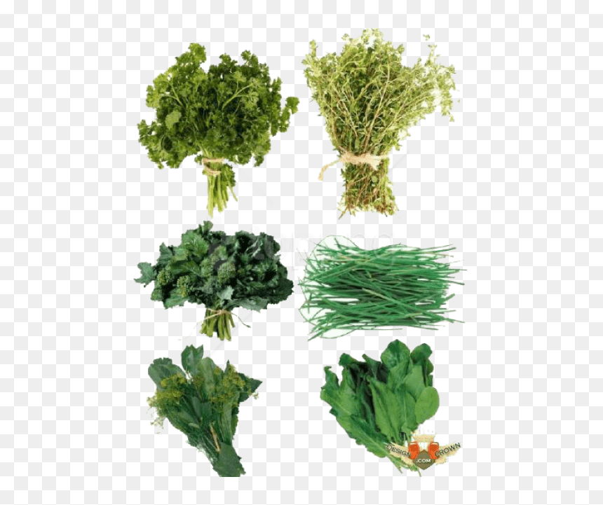 Download Herb S Png Images Background - Herbs Png, Transparent Png - herbs png