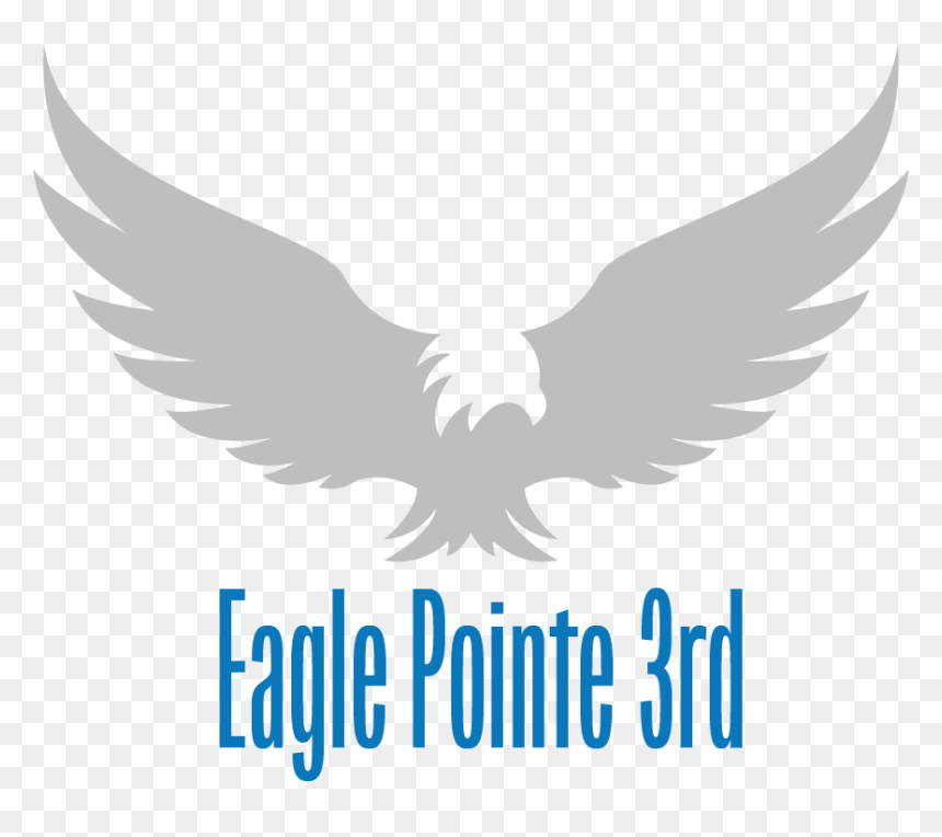 Adjacent To Davies High School And Close To Fantastic - Golden Eagle, HD Png Download - eagle vector png