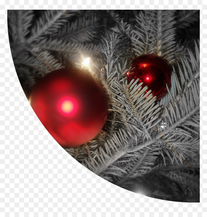 Christmas Tree, HD Png Download - modern christmas tree png