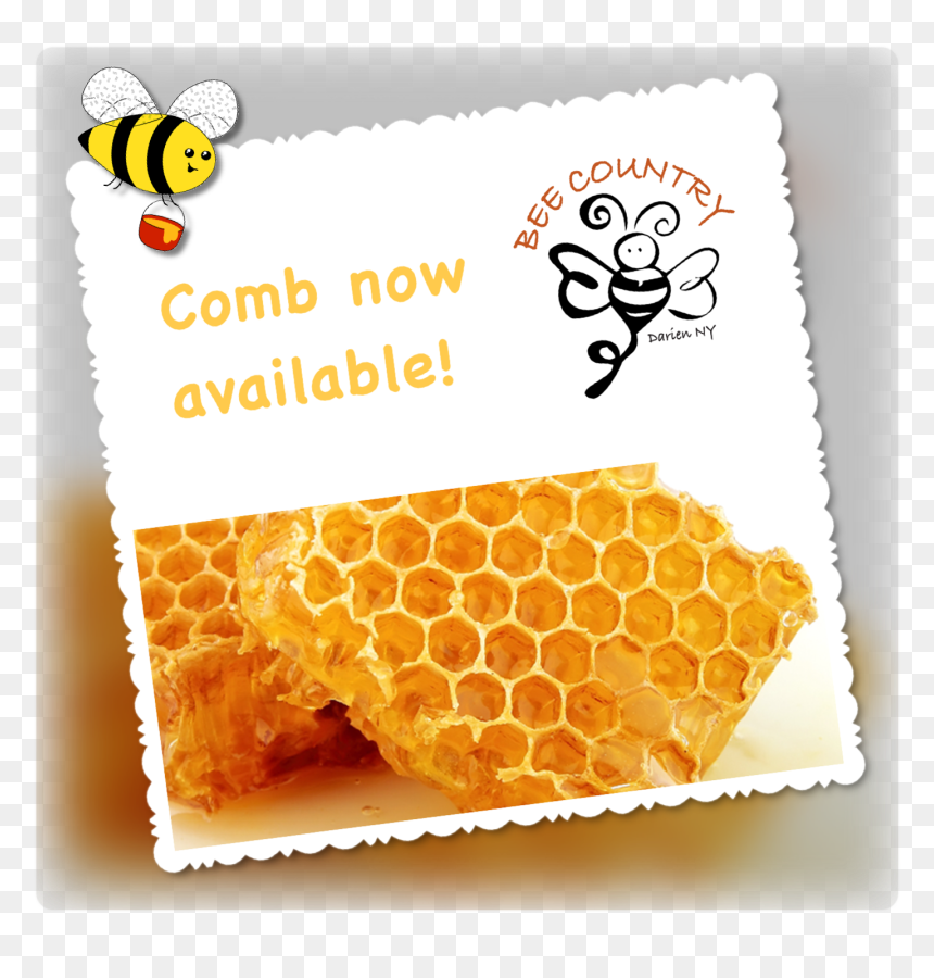 Forever Bee Propolis, HD Png Download - honey comb png