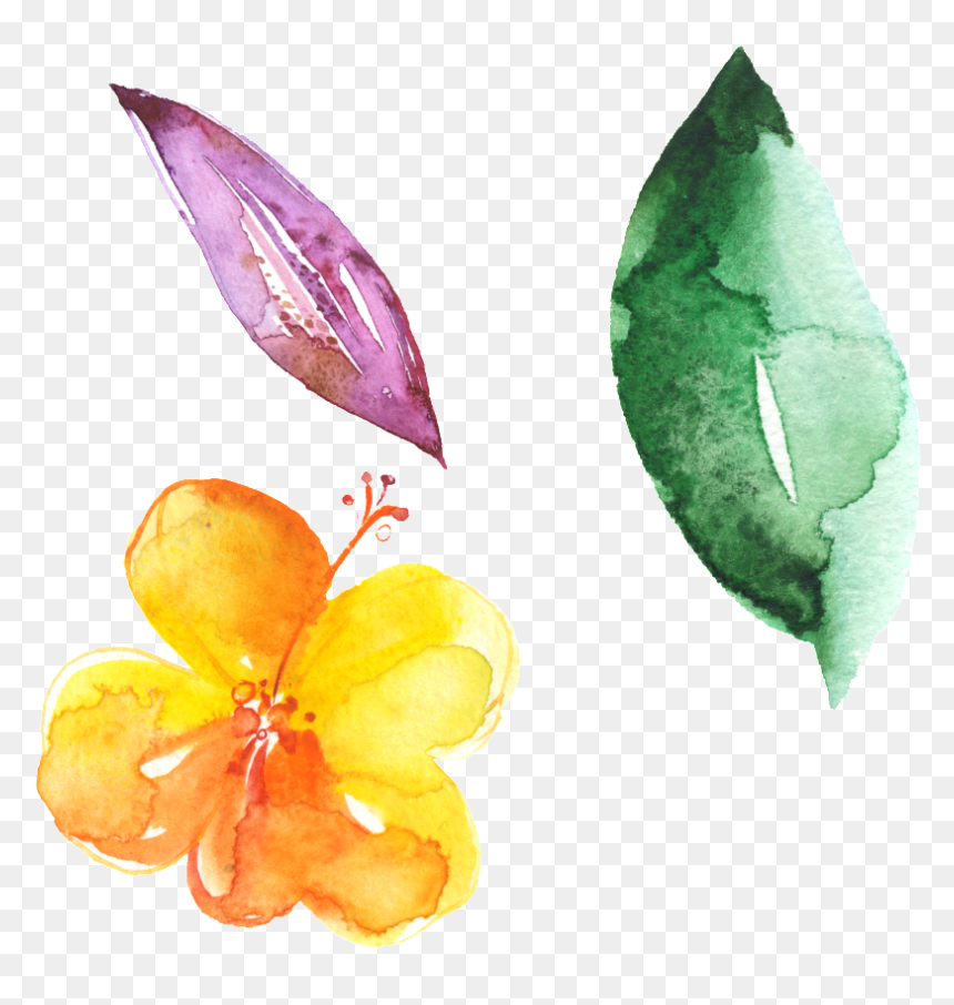Hand Painted Flowers Green Leaves Beautiful Png - Rosa Glauca, Transparent Png - beautiful png