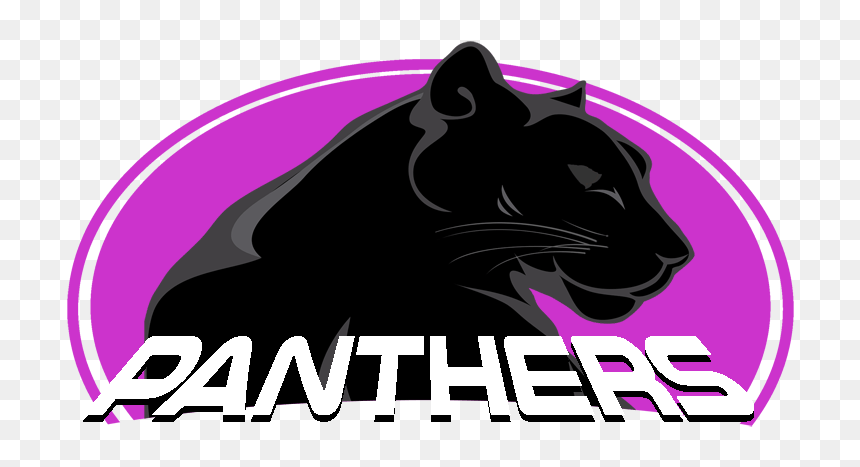 Panthers - Cougar, HD Png Download - panthers png