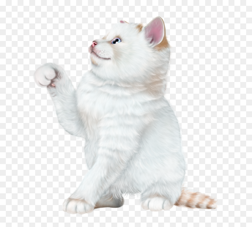 Bonne Journée Bisou Tendresse, HD Png Download - cat .png