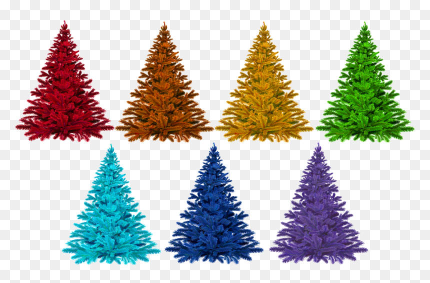 Christmas Tree .png, Transparent Png - christmas tree .png