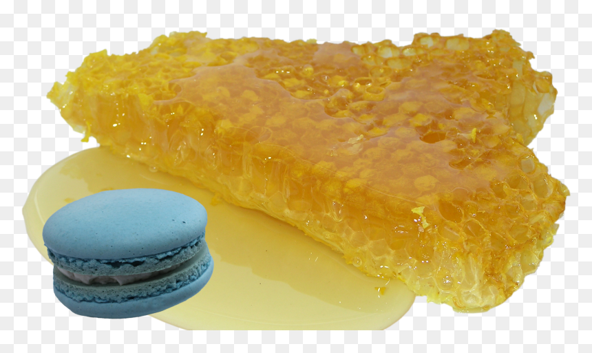 Honey, HD Png Download - honey comb png
