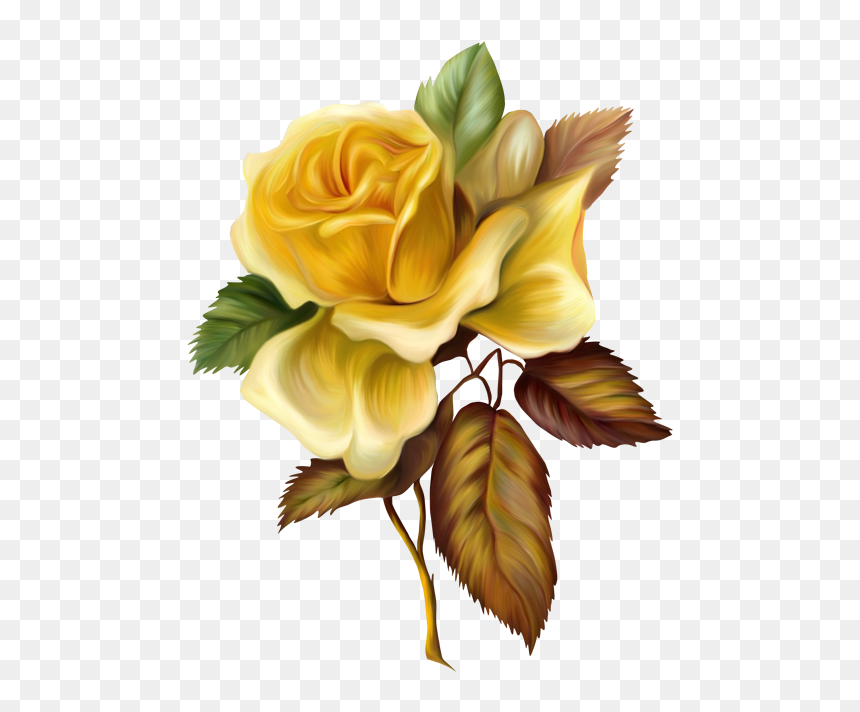 4 Png, Yellow Roses, F - Painting Flower Png Transparent, Png Download - yellow rose png