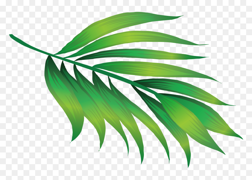 Transparent Green Leaf Icon Png - Hawaii Leaves Png, Png Download - leaf icon png