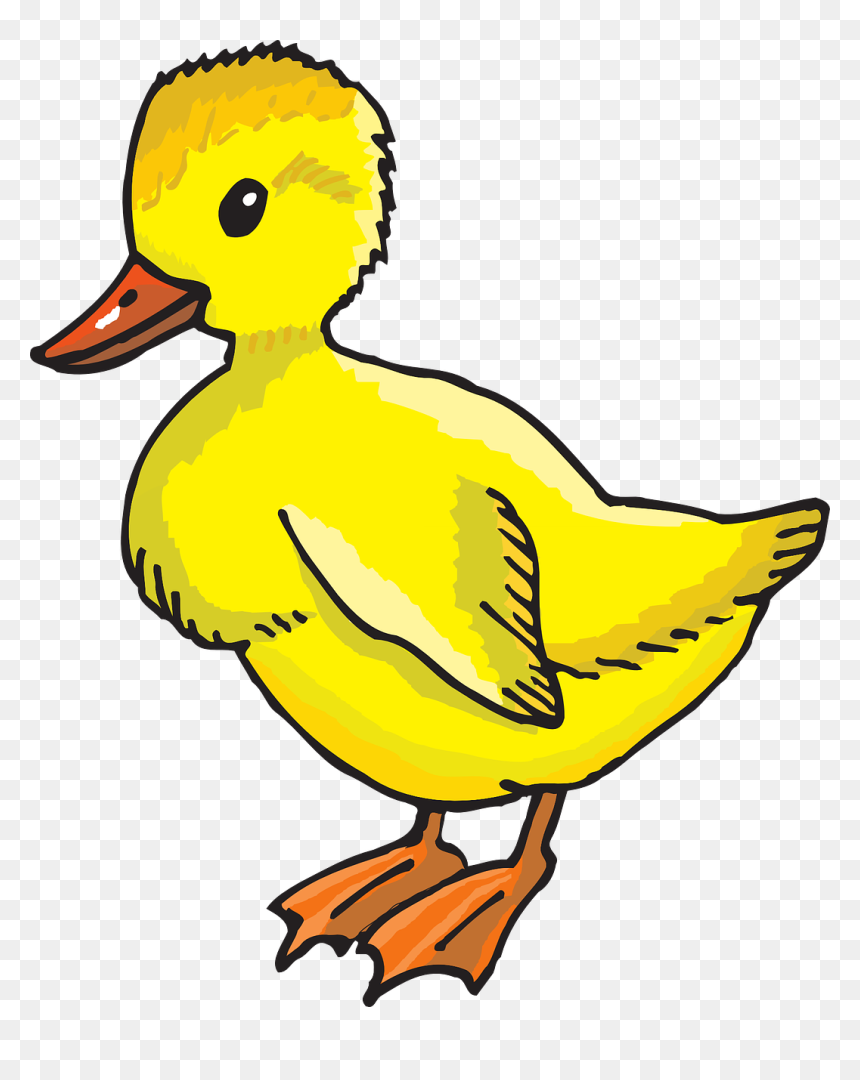Duck Clip Art, HD Png Download - ducks png