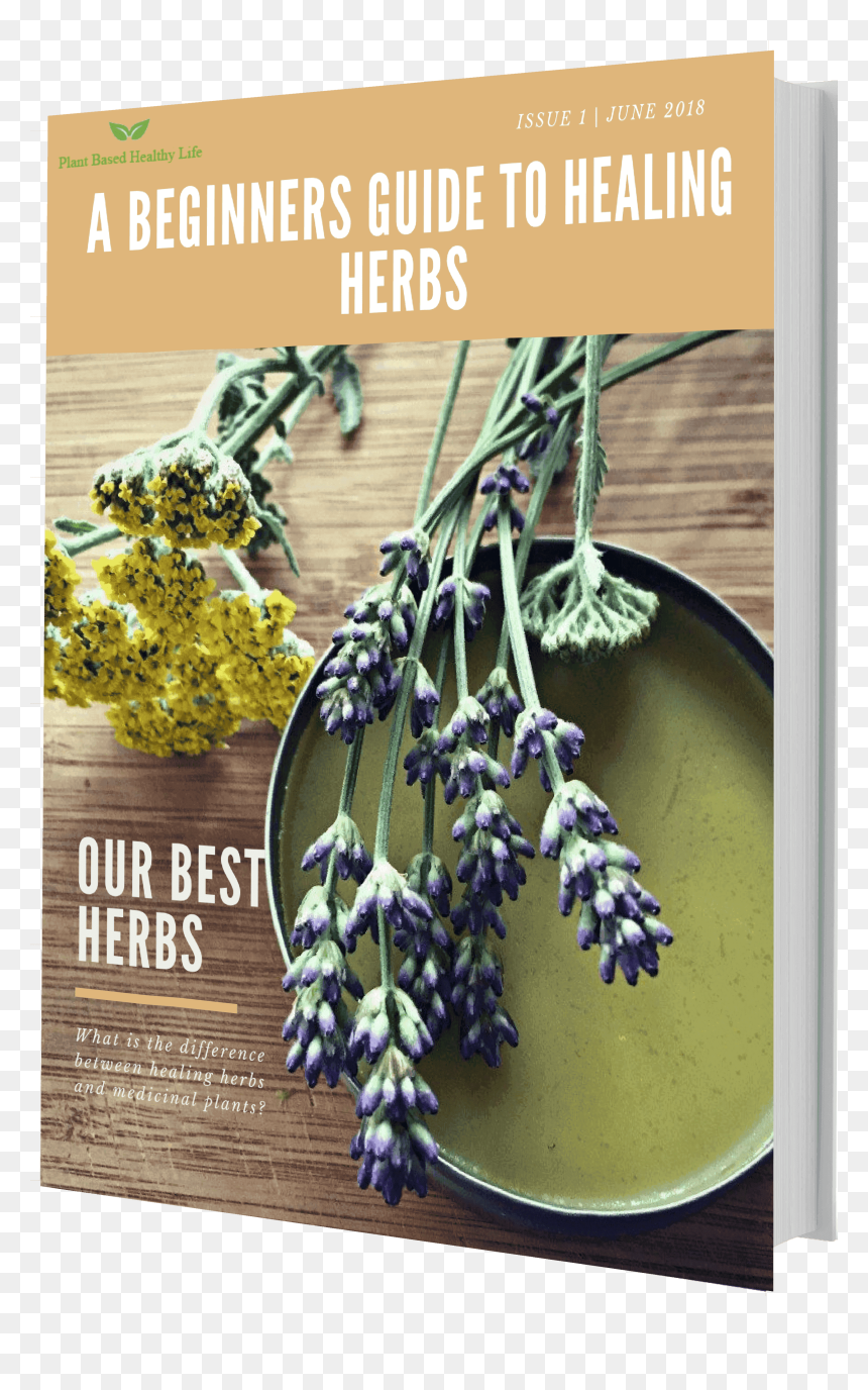 7c608bae16c01519268193 Herb 3d Book Cover Reduced Twice - Herbal Medicine, HD Png Download - herbs png